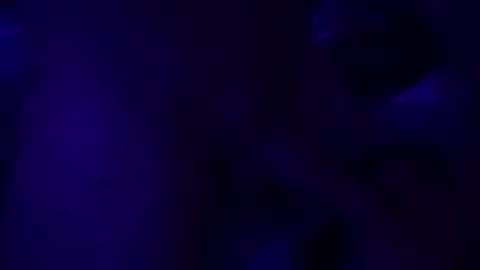 SilverFox online show from 10, 11, 2025