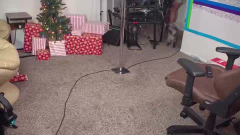 Matt Cash online show from 14, 12, 2024