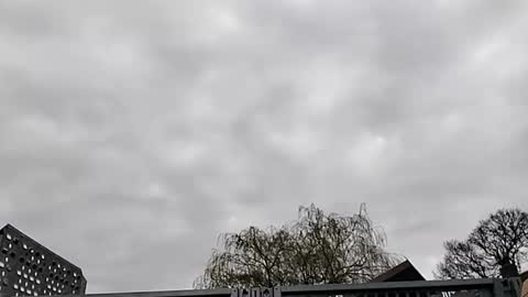 Mattythelog online show from 19, 3, 2026