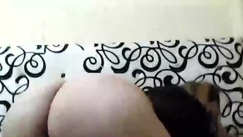 mature_sweet3827 online show from 6, 12, 2024