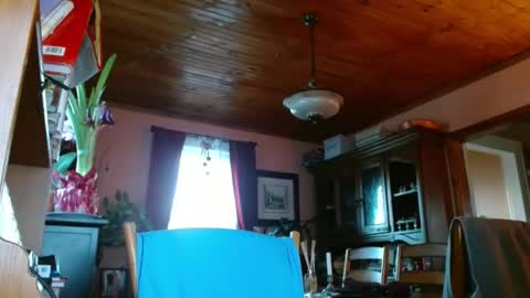 Maurice online show from 15, 1, 2025