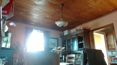 Maurice online show from 9, 3, 2025