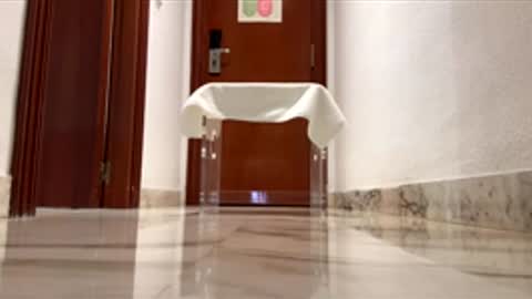 maximo1991 online show from 14, 12, 2025