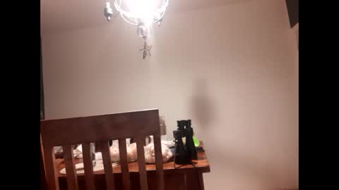 mccock16cm online show from 16, 2, 2025