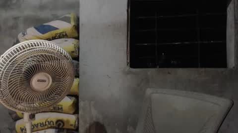 Mcgregor online show from 22, 10, 2025