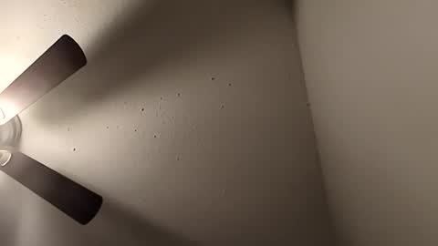 Jizzy online show from 16, 3, 2026