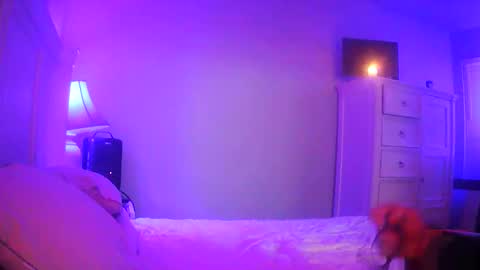 mecrago online show from 14, 1, 2026