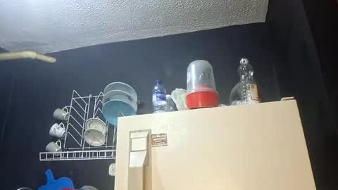 Megan and sophi online show from 5, 11, 2025