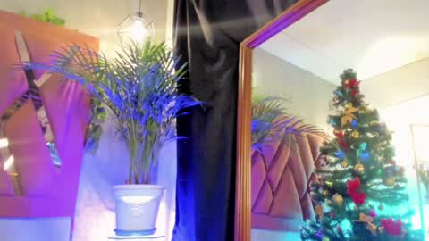    online show from 13, 12, 2024