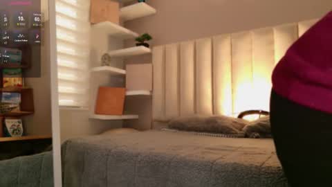     online show from 21, 10, 2025