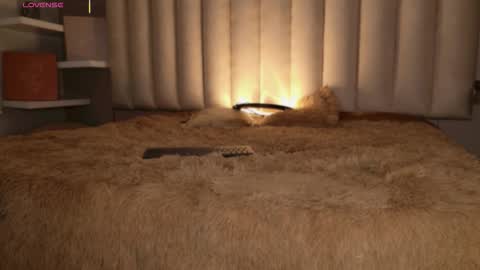     online show from 16, 11, 2025