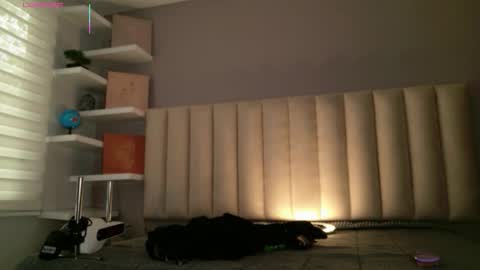     online show from 10, 2, 2026