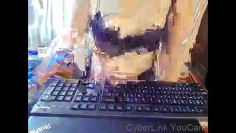 meimei_888 online show from 17, 1, 2026