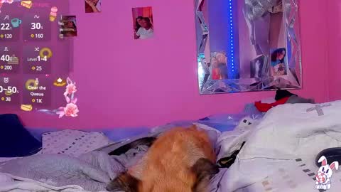 Luisa  online show from 2, 3, 2025