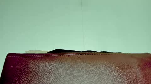 Melania online show from 6, 11, 2025