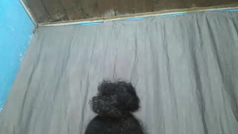 meld2599 online show from 11, 11, 2025