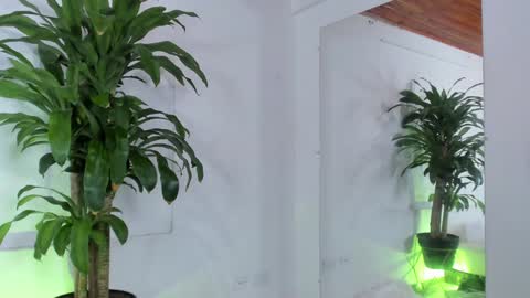 Snapshot of melissa_latingirl chatting on 19, 12, 2024 Melissa online show from 19, 12, 2024