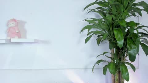 Snapshot of melissa_latingirl chatting on 10, 1, 2025 Melissa online show from 10, 1, 2025