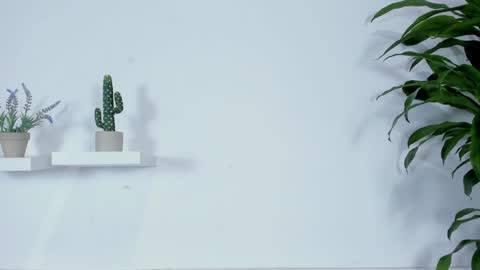 Snapshot of melissa_latingirl chatting on 28, 1, 2025 Melissa online show from 28, 1, 2025