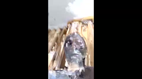 melissaknowles46 online show from 14, 3, 2026