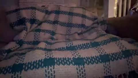 melt13 online show from 9, 9, 2025