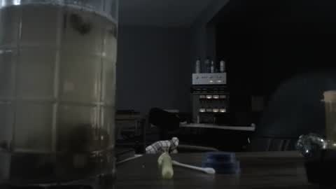 I am usually high and horny...lol online show from 21, 10, 2025