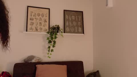  Memphis Williams  online show from 19, 2, 2026