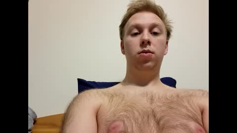 Snapshot of meow732 chatting on 4, 12, 2025 meow732 online show from 4, 12, 2025