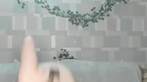 meowcr online show from 2, 2, 2026