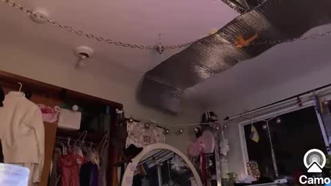 Snapshot of merelyalover chatting on 30, 1, 2025 gurlnips online show from 30, 1, 2025