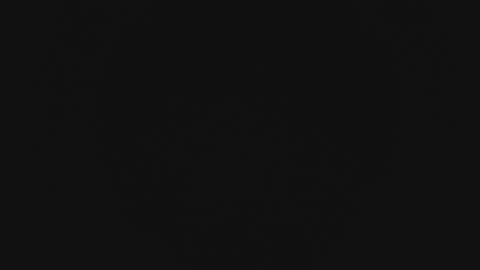 Wade online show from 13, 2, 2026