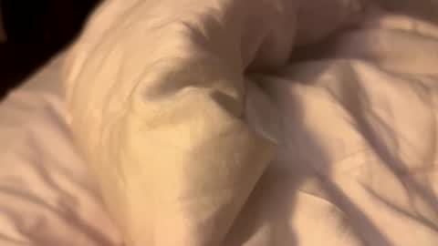 mezo2222 online show from 6, 2, 2026