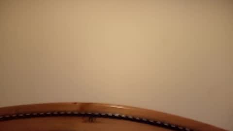 mhorny5 online show from 14, 9, 2025