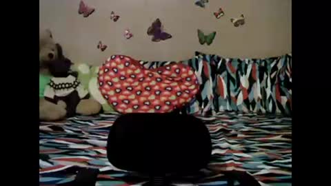 mia_rein online show from 11, 3, 2025