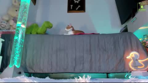 Mia  online show from 16, 11, 2025