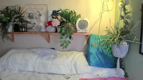 Miaa online show from 20, 12, 2024