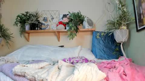 Miaa online show from 20, 12, 2024