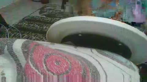 Snapshot of miagomezx chatting on 17, 2, 2026 miagomezx online show from 17, 2, 2026