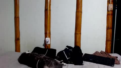 Mia  Sam online show from 17, 1, 2026