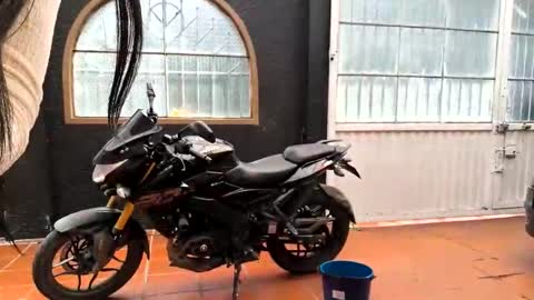 miaoconell online show from 13, 10, 2025