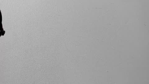 mia online show from 12, 10, 2025