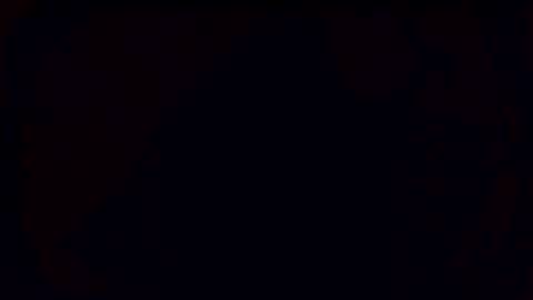 plumbinfool online show from 24, 3, 2026