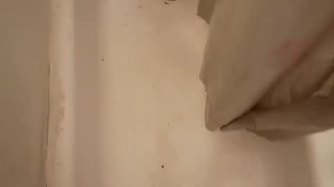 Snapshot of michaelpittman6922590788 chatting on 22, 3, 2026 Playerz R Us online show from 22, 3, 2026