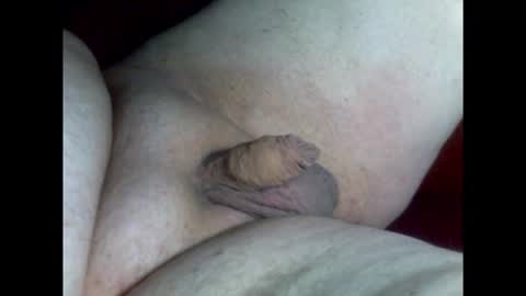 micropimmel online show from 9, 2, 2026