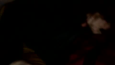 Snapshot of midiin chatting on 10, 12, 2024 midiin online show from 10, 12, 2024