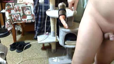 mikireor3 online show from 3, 2, 2026