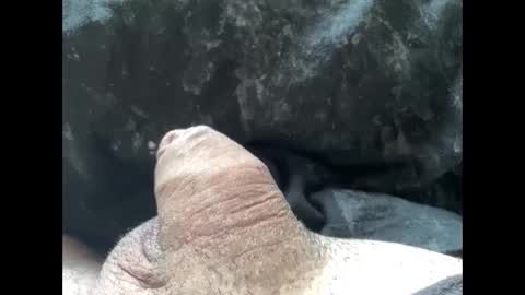 Snapshot of mikke332 chatting on 10, 2, 2025 mikke332 online show from 10, 2, 2025