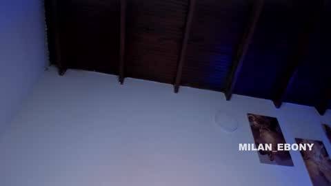 Milan  online show from 8, 1, 2025