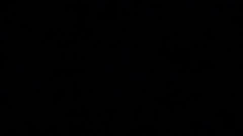 Mila online show from 10, 11, 2025