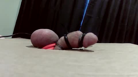 milk me dry online show from 23, 3, 2026